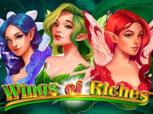 Wings of Riches game icon