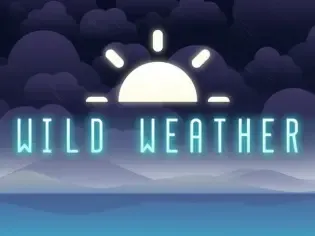 Wild Weather game icon